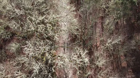 Two pilgrims walking the Way of Saint James seen from the air Video stock 127068760