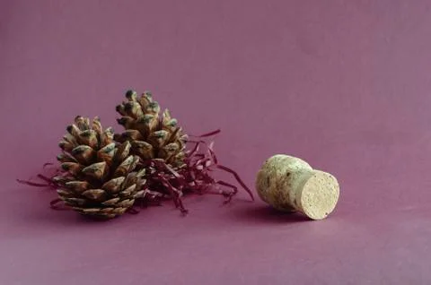 Two pine cones and cork of champagne on a gray-burgundy background. Stock Photos