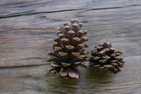 Two Pine Cones on a Farm Table Stock Photos