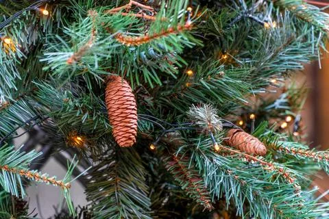 Two pine cones with pine branches and lights, used as Christmas decorations. Stock Photos
