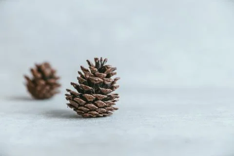 Two pine cones on rustic white wood table, Christmas decoration background Stock Photos