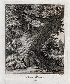 Two pine martens in a forest, the marten on the ground is devouring is prey.. Stock Illustration