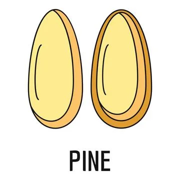 Two pine nuts vector illustration isolated on white Stock Illustration