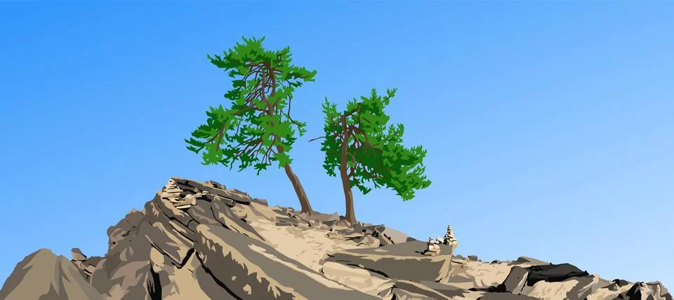 Two pine trees on hill isolated on blue sky background Illustrazione stock