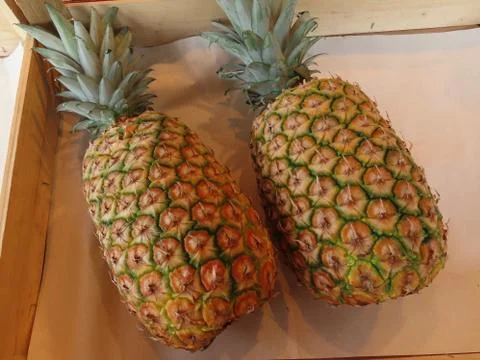 Two pineapples in box Stock Photos