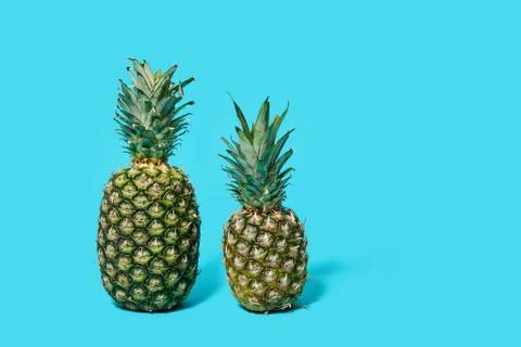Two pineapples isolated on a blue background. Stock Photos