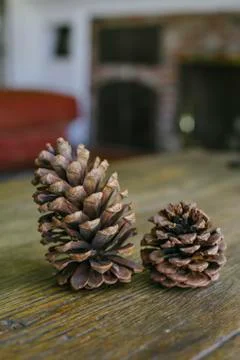Two Pinecones in an Interior of a Warm Home Stock Photos