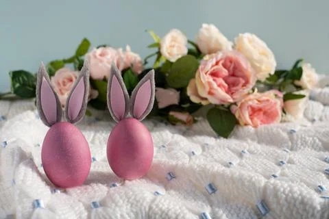 Two pink Easter eggs with bunny ears close-up on a white knitted blanket and a Stock Photos