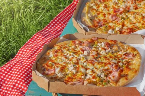 Two pizzas on a checkered red and white tablecloth on the grass. Picnic Stock Photos
