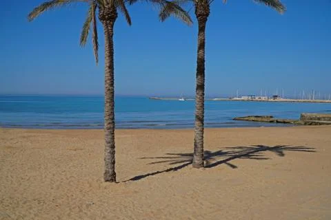 Two plam trees on a deserted beach at Marina di Ragusa, Sicily, Italy Stock Photos