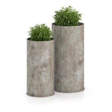 Two Plants in Large Pots 3D Model