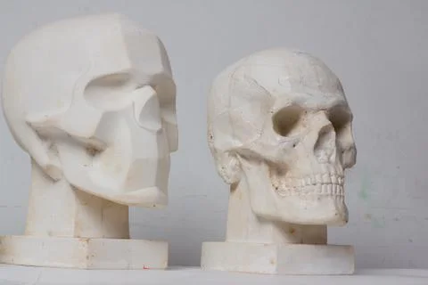 Two plaster skulls on white background. artist's studio Foto stock