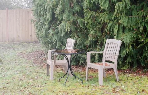 Two plastic chairs and a small table on a lawn next to a green hedge on a fog Фото