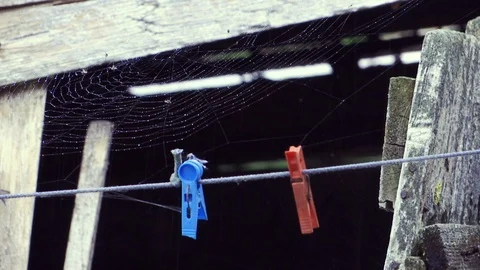 Two plastic clamps on the wire 库存影片 91731520