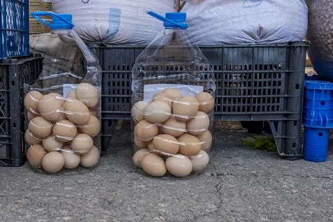 Two plastic containers of eggs are on the ground Stock-Fotos
