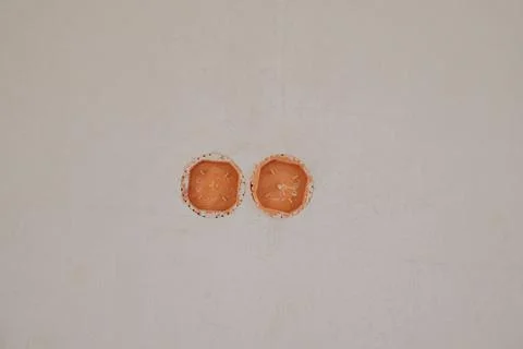 Two plastic electrical boxes in the wall Stock Photos