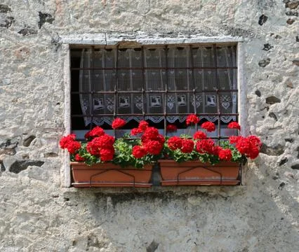 Two plastic pots of red geraniums on the balcony of a stone house in the coun Stockfoto's