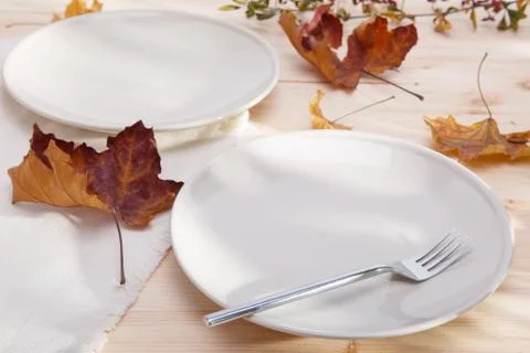 Two plates Stock Photos