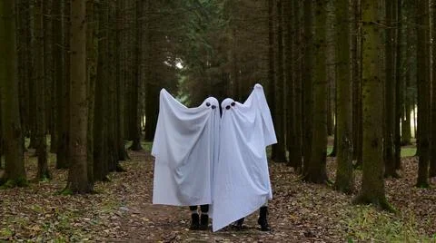 Two Playful Ghosts in a Spooky Pine Forest Stock Photos