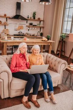 Two pleasant-looking elderly grey-haired women spending time in internet Stock Photos