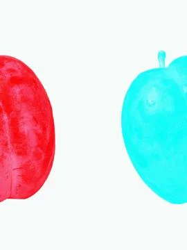 Two plums creating vibrant contrast on white background Stock Photos