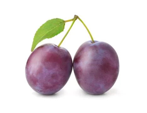 Two plums with leaf Stock Photos