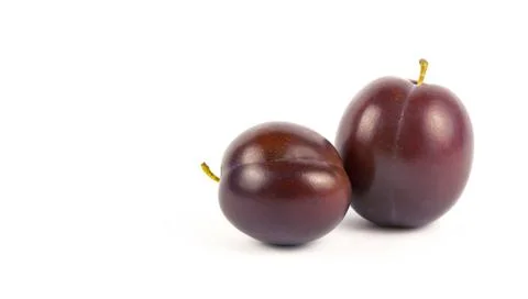 Two plums on a white background with space for text. 库存照片
