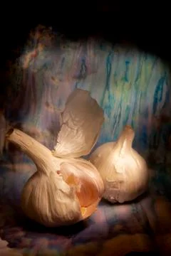 Two pods of garlic Stock Photos