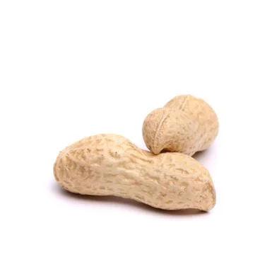 Two pods of peanuts Stock Photos