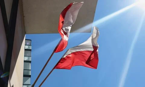 Two Polish flags are shown waving in the wind against a clear sky. Stock Photos
