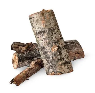 Two poplar logs Stock Photos