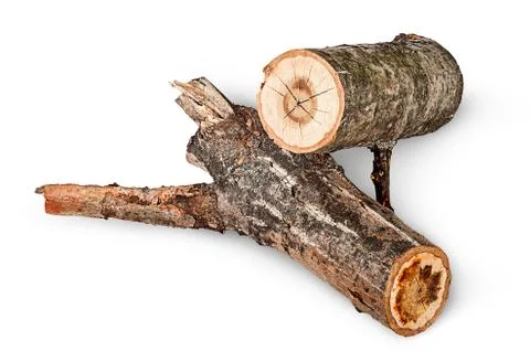 Two poplar logs rotated Stock Photos