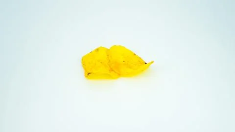 Two potato chips on a white background Stock Photos