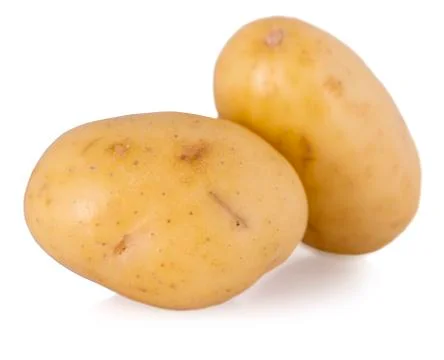 Two potato on white background. Stock Photos