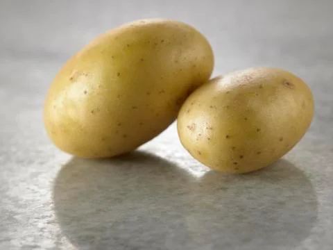 Two potatoes Stock Photos
