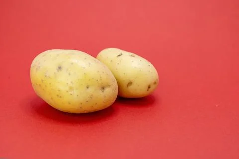 Two potatoes sit on a red background. Stock Photos