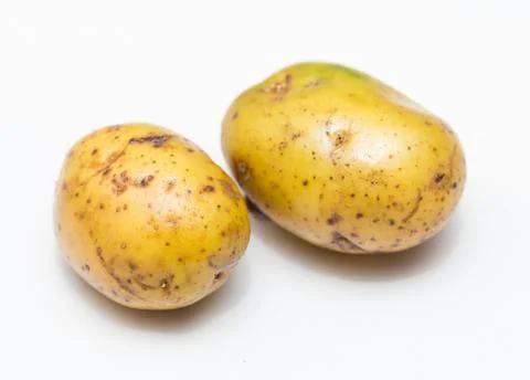 Two potatoes on white background Stock Photos