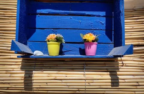 Two potted flowers inside a hanging blue grocery case Stock Photos