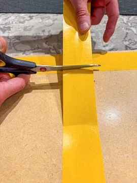 Two potted olive trees placed on tiled steps, in a cozy outdoor garden setting Stock Photos