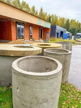Two potted olive trees placed on tiled steps, in a cozy outdoor garden setting Stock Photos