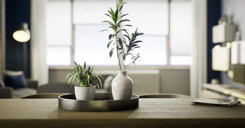 Two potted plants sit in a round tray on a wooden table in a bright living ro Stock Illustration