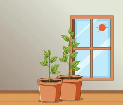 Two Potted Plants by Sunny Window Indoors Ilustración de archivo