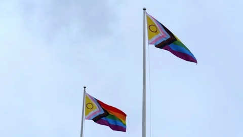 Two Pride Flags Waving on Pole, Grey Overcast Sky Stock Footage 311097852