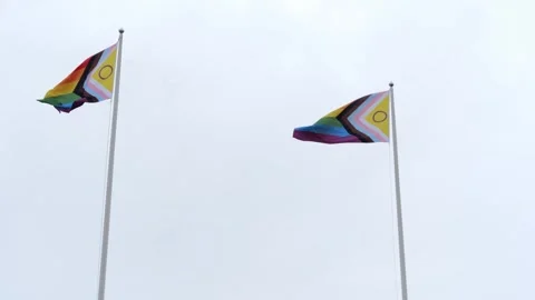 Two Pride Flags Waving on Pole, Grey Overcast Sky Background. Pride Month Stock Footage 311109699