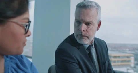 Two professionals discussing project Stock Footage 208040373