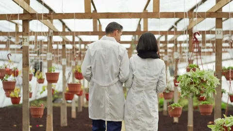 Two professionals walking and talking in greenhouse Stock Footage 142408393