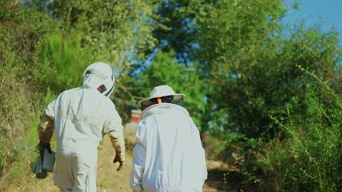 Two protected beekeepers walk to an apiary Video stock 218222489