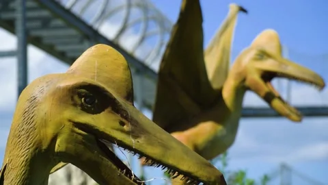 Two pterodactyl ancient historic beasts realistic looking models with open Stock Footage 225447699