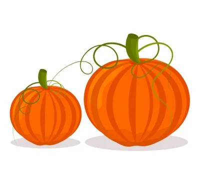 Two pumpkins, big and small over white Stock Illustration