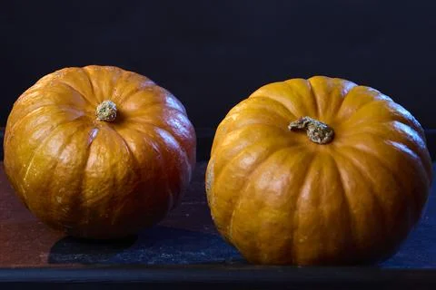 Two pumpkins close up in studio Halloween decor Stock Photos
